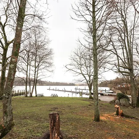 Bramblings By The Windermere